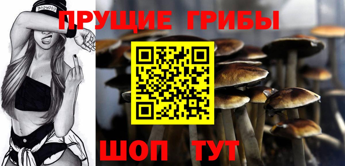 Галлюциногенные грибы Psilocybine cubensis  Вход с VPN  купить закладку  Тимашёвск  Псилоцибиновые грибы Psilocybine cubensis 